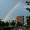 京橋に虹