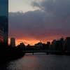 京橋の橋から夕陽