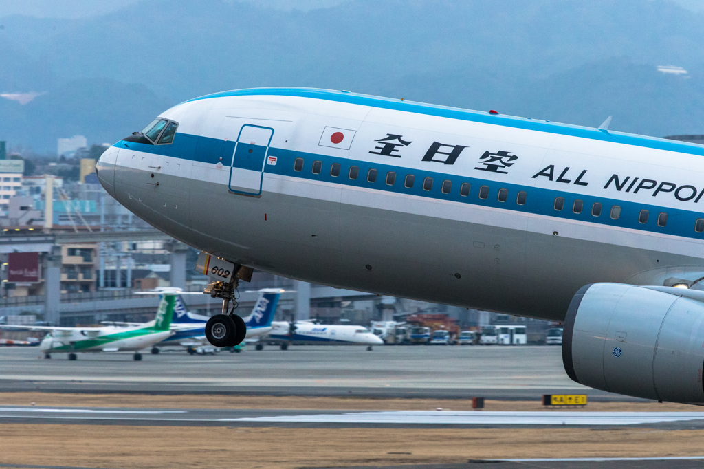 伊丹空港　モヒカン