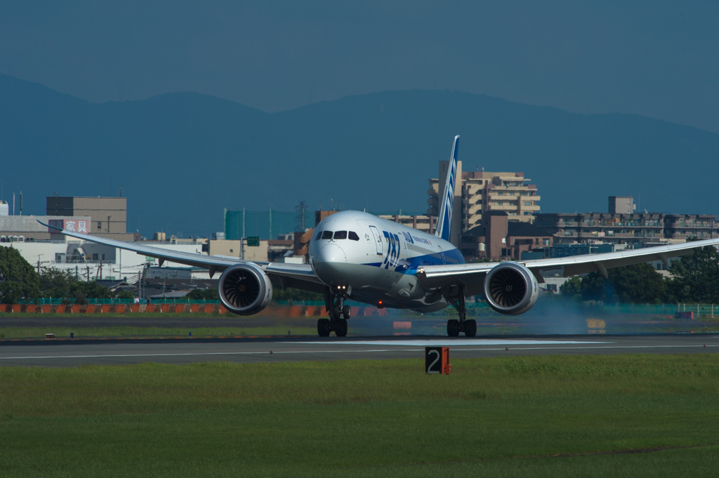 Boeing 787-8