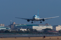 伊丹空港　モヒカン