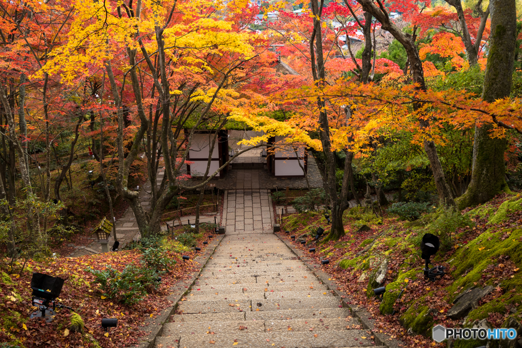 常寂光寺（京都）