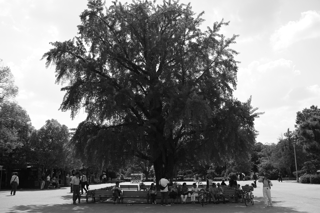 大阪城の天守閣前