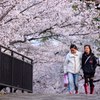 新しい友達