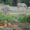 もっと太ってから。。。