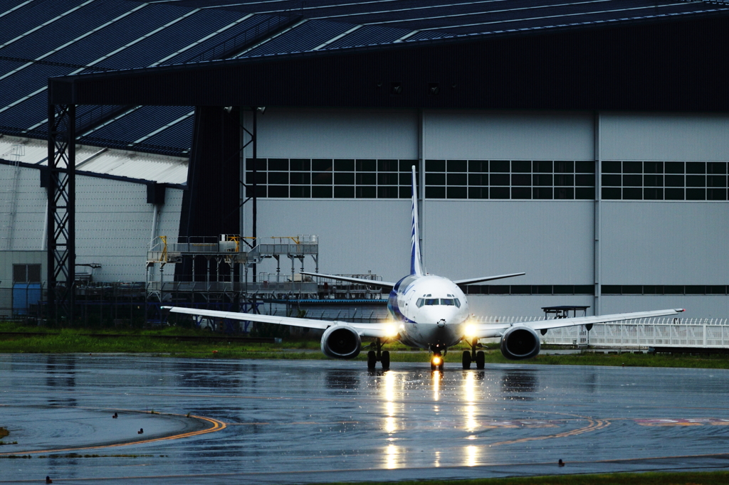 豪雨が去って