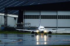 豪雨が去って