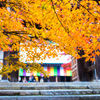 二尊院の紅葉