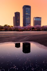 大川から望むビル群