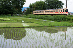 山辺の道