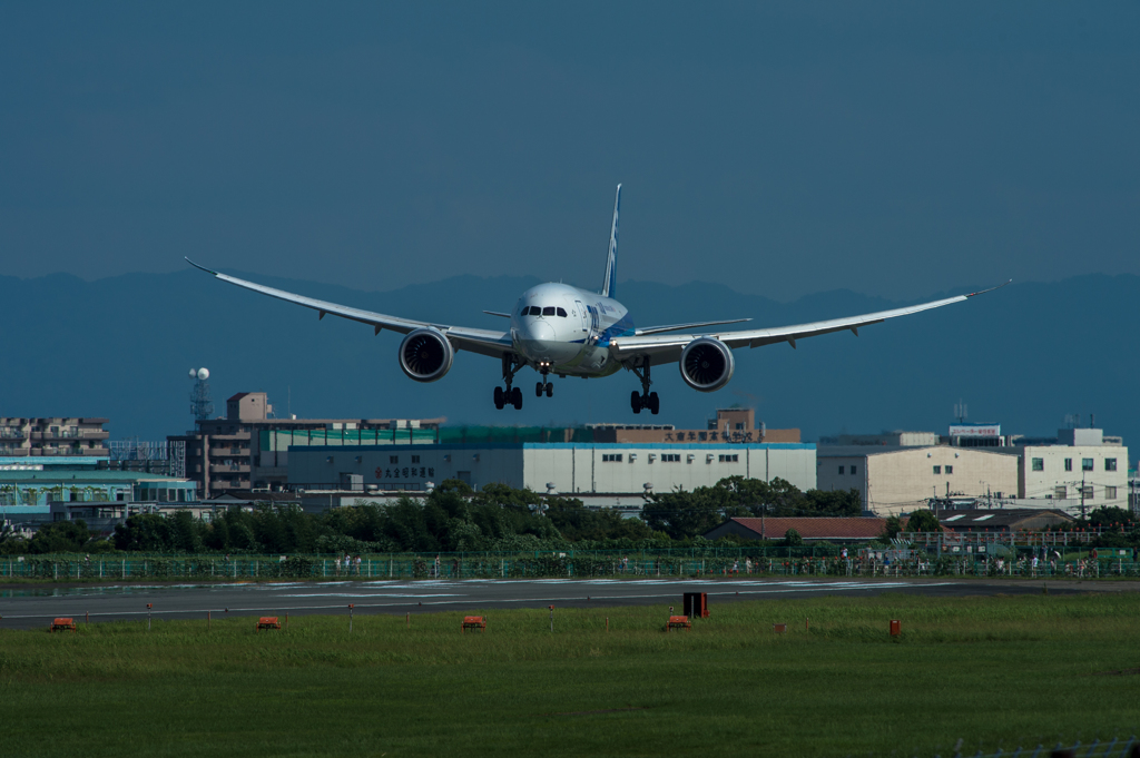 Boeing 787-8