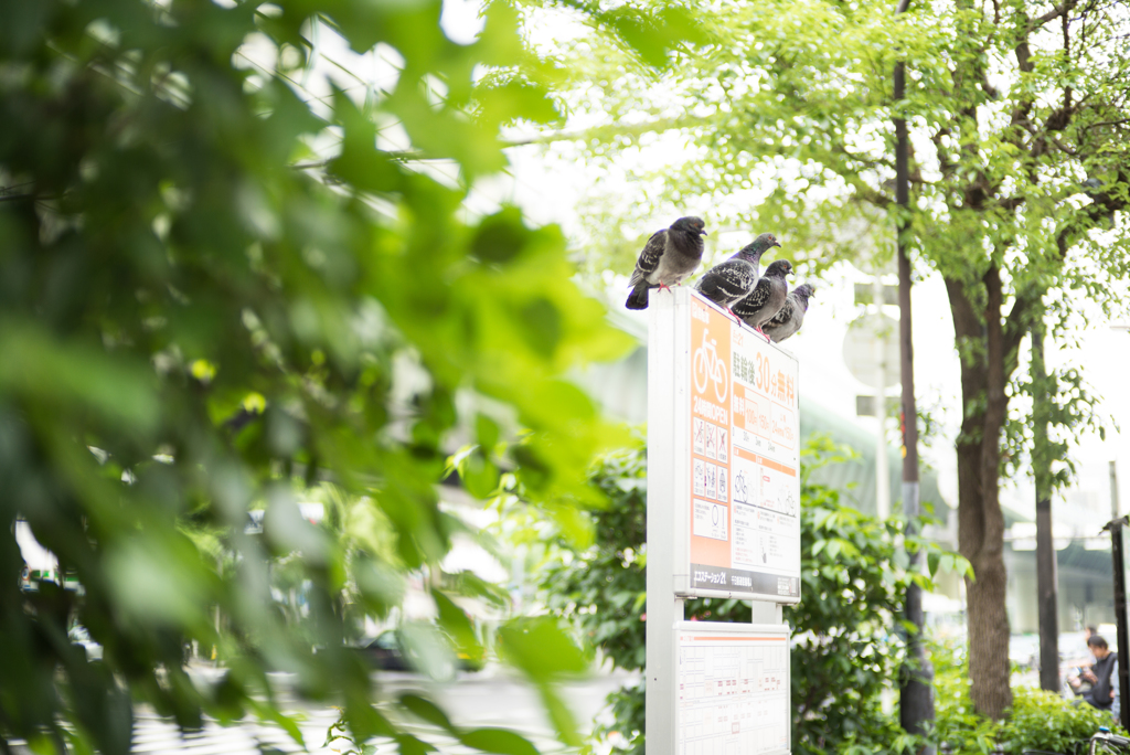 ３０分無料