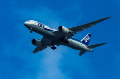 BOEING 787-8