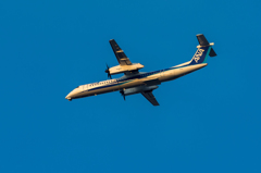 2013年　元日　飛行機初め②