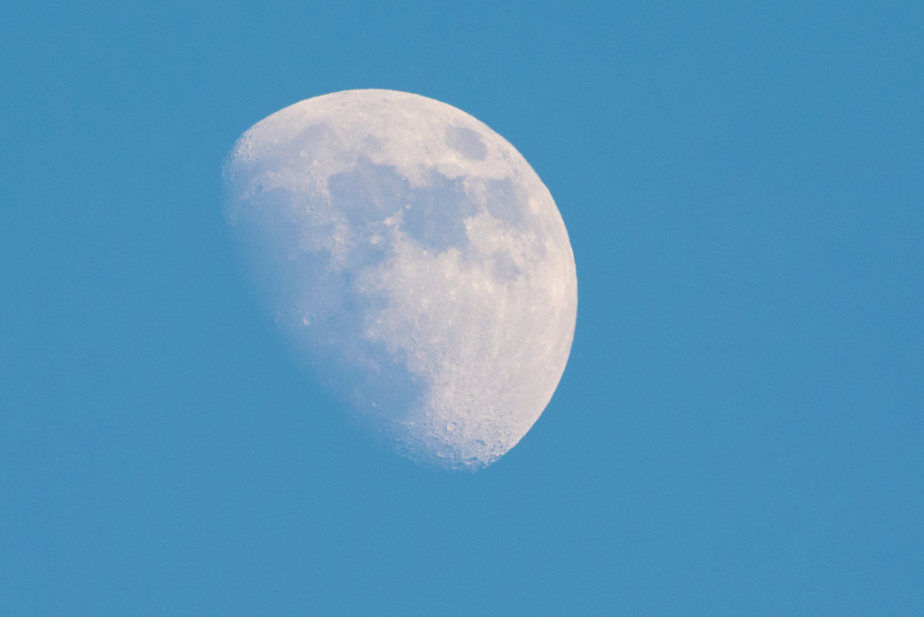 6月29日　昼の月