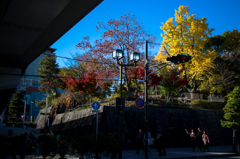 JR伊丹駅の紅葉