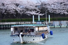 SAKURA SHIP