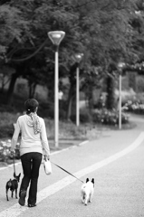 靭公園