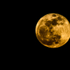 Super Moon
