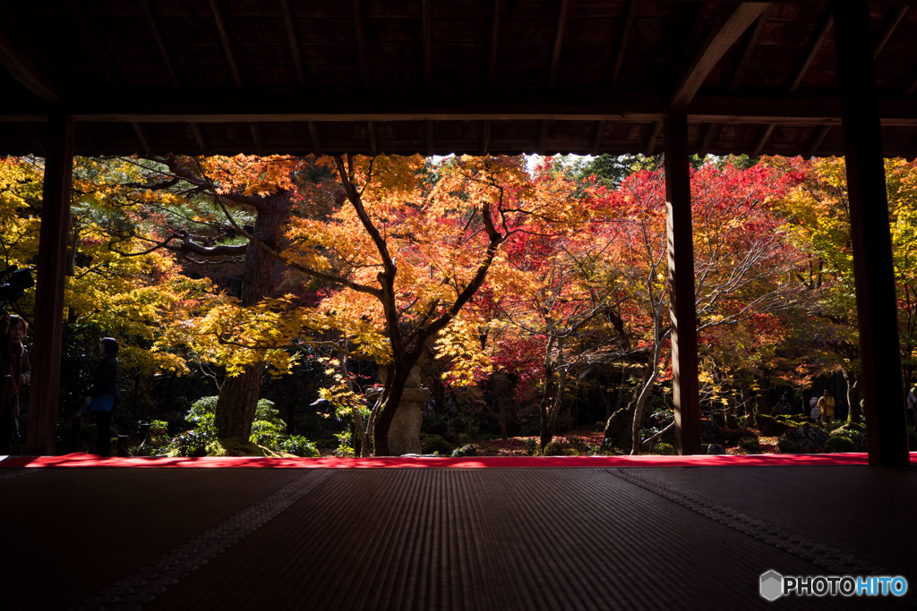 圓光寺（京都）