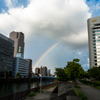 京橋に虹