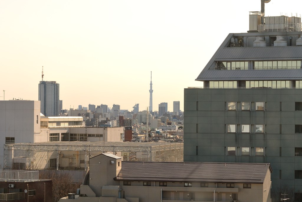 杉並区からも見えた！