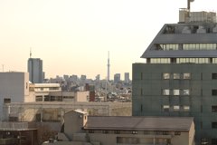 杉並区からも見えた！