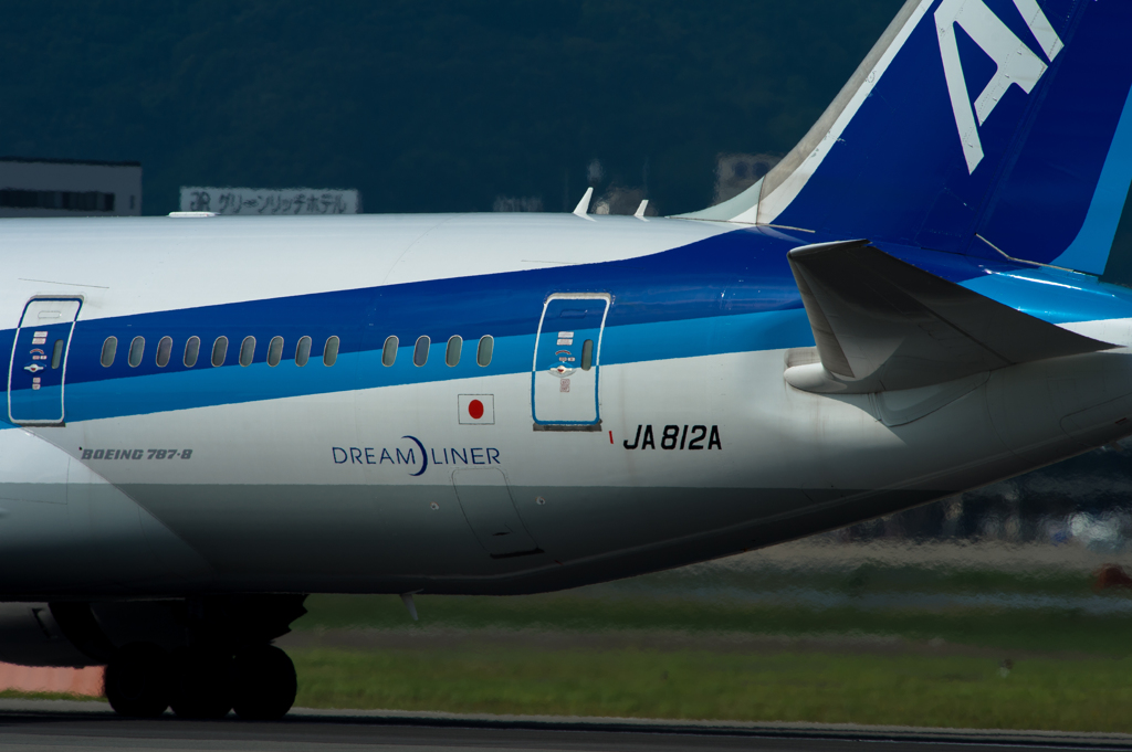 Boeing 787-8