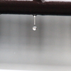 過ぎ去ったゲリラ豪雨