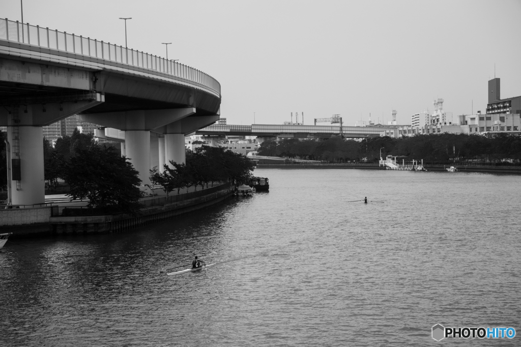 初夏の大川