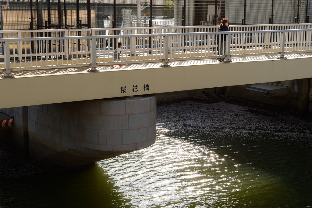桜花橋