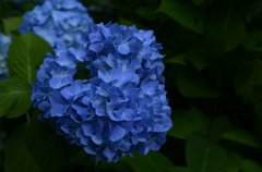 _DS71427