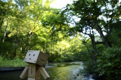 リフレッシュダンボー