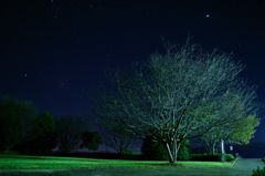 秋の夜長