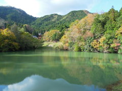 DSCN0350