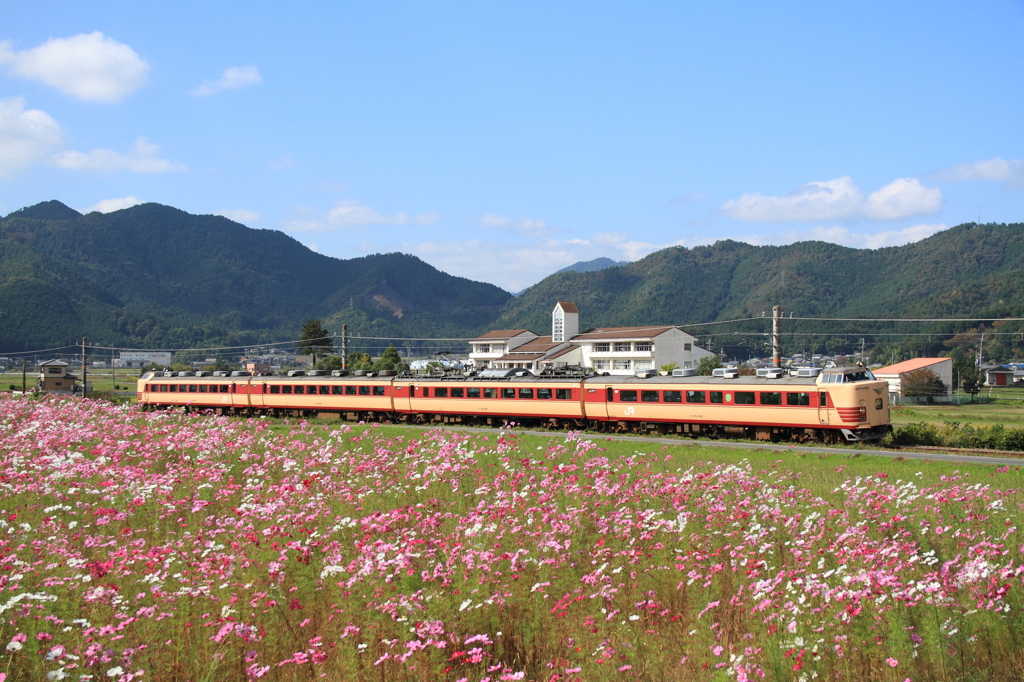 お花畑を行くこうのとり