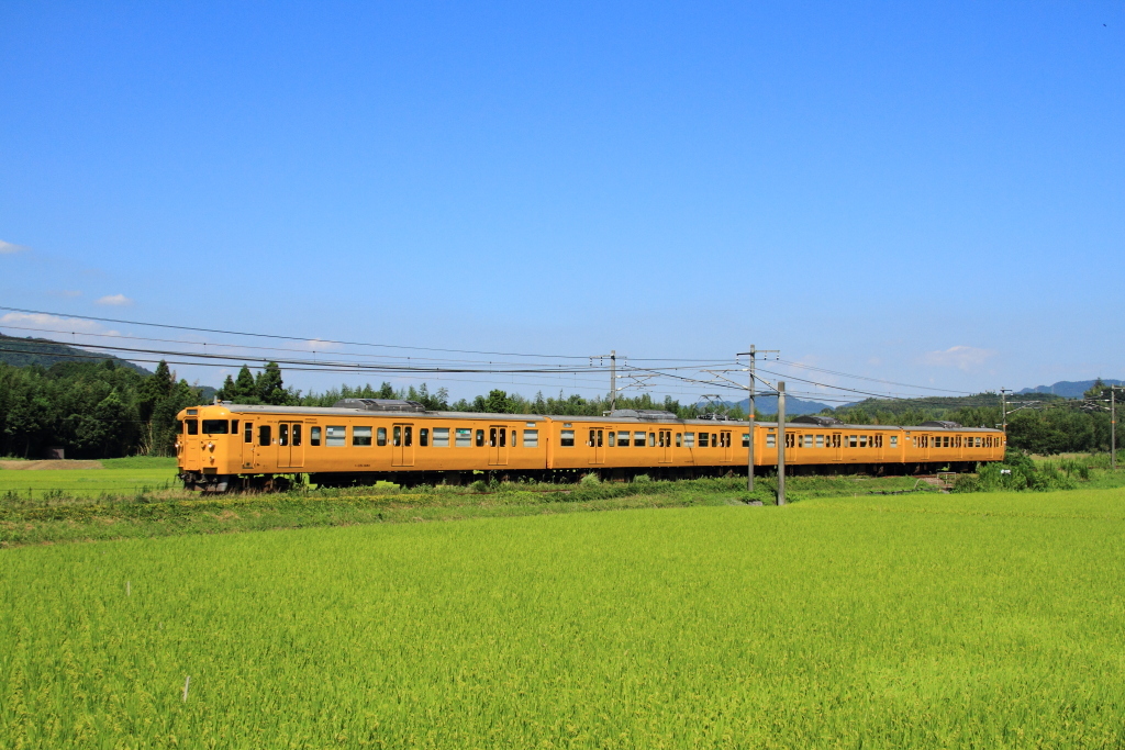 田園地帯を行く