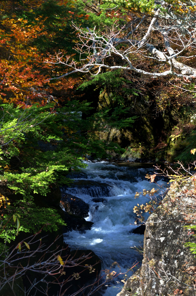 何を見せたいのかはっきりして下さい。