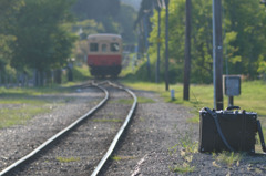 おれ、この旅が終わったら現像するんだ