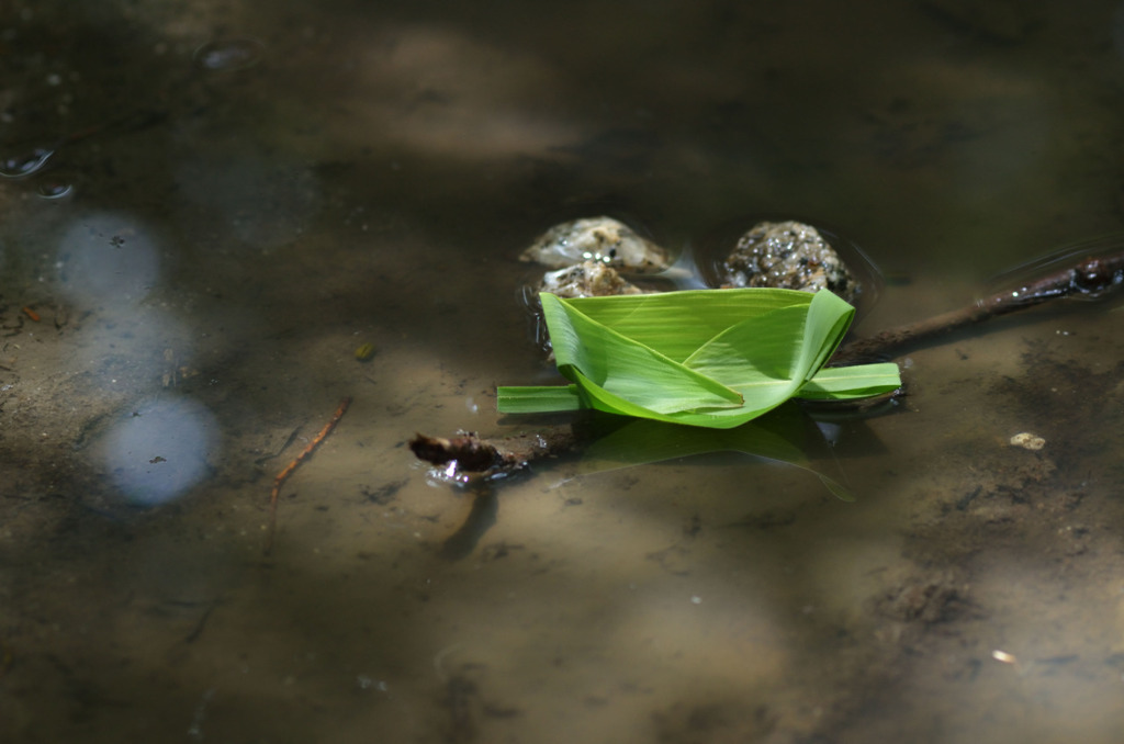 誰かが浮かべた笹舟