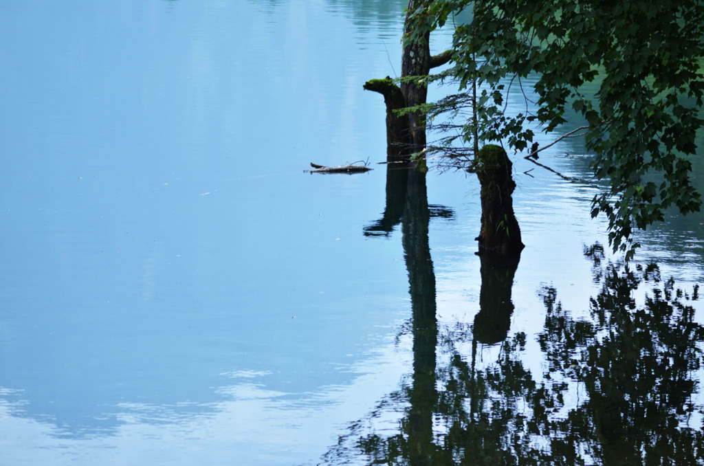 え、何これ、どうなってるの？って一瞬思った