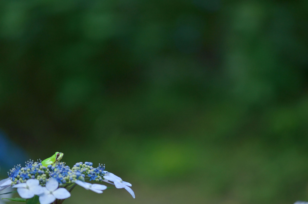 ネイチャーテクニカラーの玩具はクォリティ高い