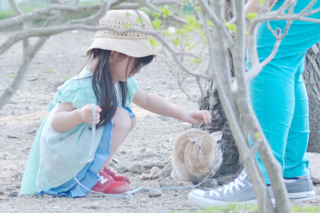 兎かわいいなー兎　かわいいなー兎
