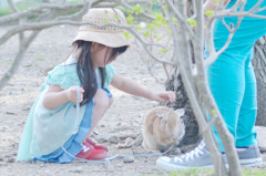 兎かわいいなー兎　かわいいなー兎