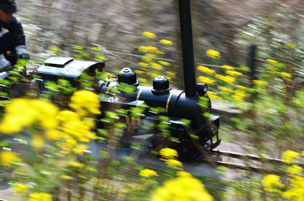 趣味は遅く進む何かを流し撮りする事です