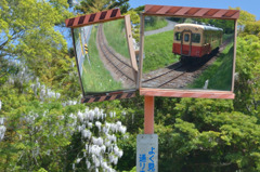 いまいち！もう少し面白い画になる予定だったのに！