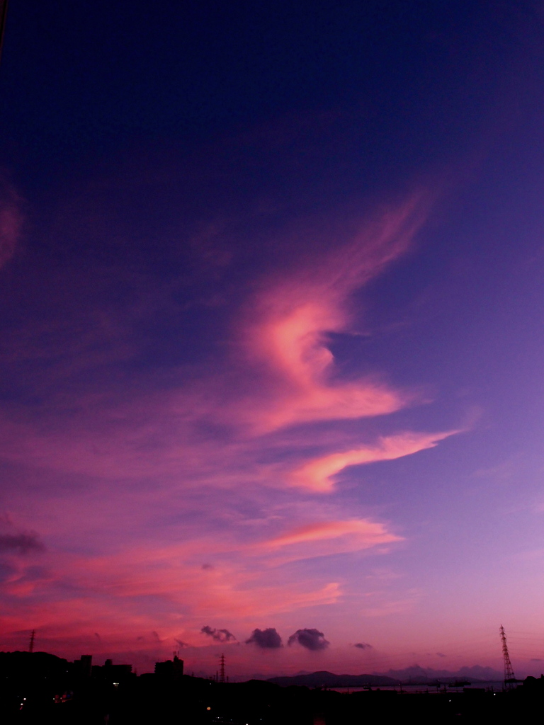 cloud fish?