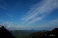 庭と空