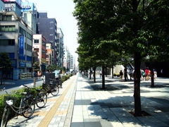 真夏、日中の聖地　～UDX～