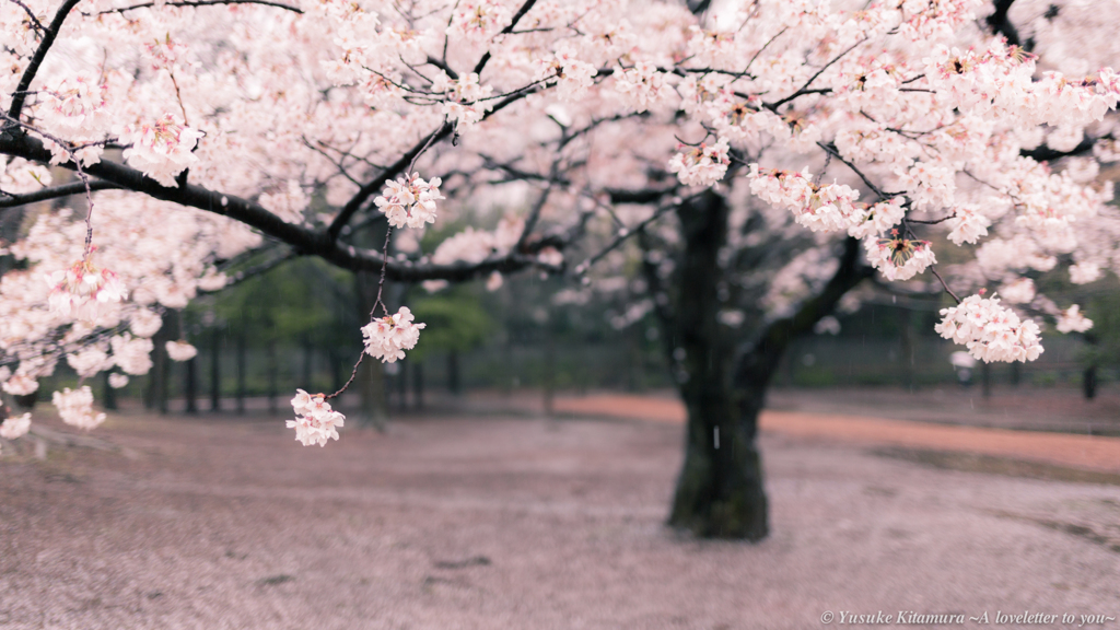 A rainy day